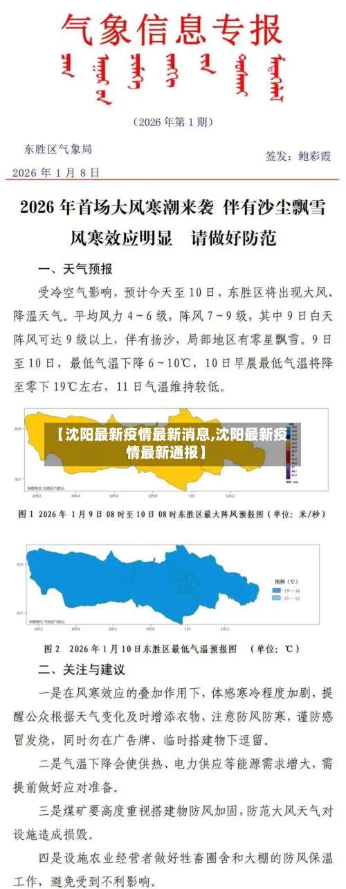 【沈阳最新疫情最新消息,沈阳最新疫情最新通报】-第2张图片
