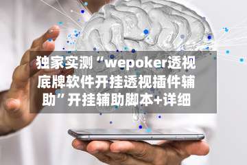 独家实测“wepoker透视底牌软件开挂透视插件辅助”开挂辅助脚本+详细-第2张图片