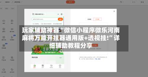 玩家辅助神器“微信小程序微乐河南麻将万能开挂器通用版+透视挂!”详细辅助教程分享-第1张图片
