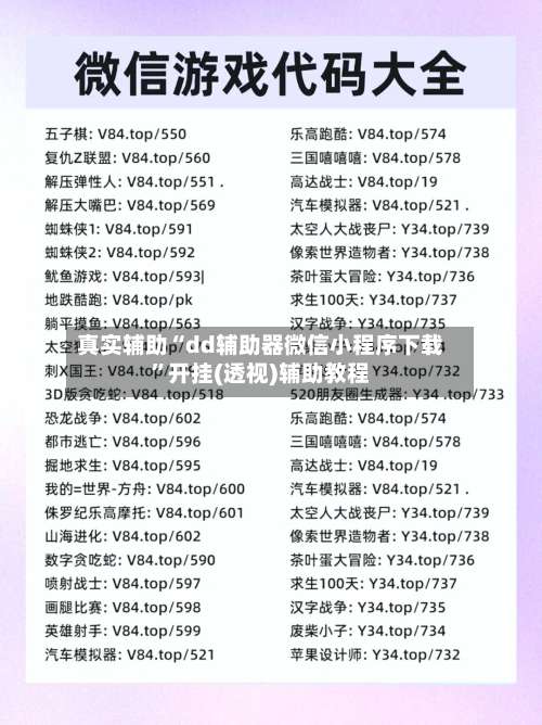 真实辅助“dd辅助器微信小程序下载	”开挂(透视)辅助教程-第1张图片