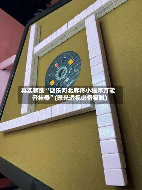 真实辅助“微乐河北麻将小程序万能开挂器	”(曝光透视必备猫腻)-第1张图片