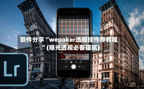 软件分享“wepoker透视挂作弊教程	”(曝光透视必备猫腻)-第1张图片