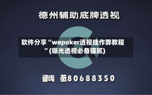软件分享“wepoker透视挂作弊教程”(曝光透视必备猫腻)-第3张图片