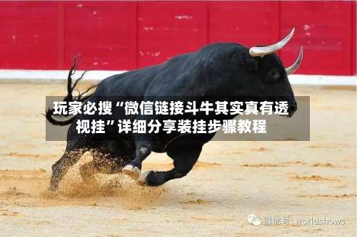 玩家必搜“微信链接斗牛其实真有透视挂	”详细分享装挂步骤教程-第2张图片