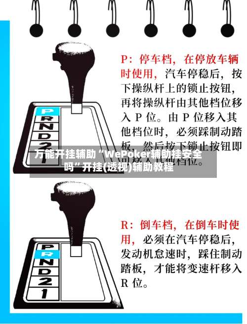 万能开挂辅助“WePoker辅助挂安全吗”开挂(透视)辅助教程-第2张图片