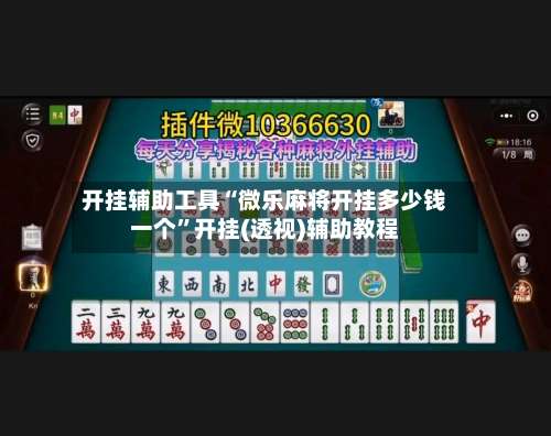 开挂辅助工具“微乐麻将开挂多少钱一个”开挂(透视)辅助教程-第3张图片