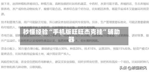 秒懂经验“手机版旺旺杰克挂	”辅助器-第1张图片