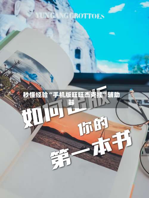 秒懂经验“手机版旺旺杰克挂”辅助器-第2张图片