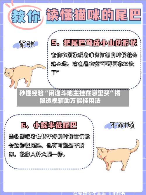 秒懂经验“闲逸斗地主挂在哪里买”揭秘透视辅助万能挂用法-第1张图片