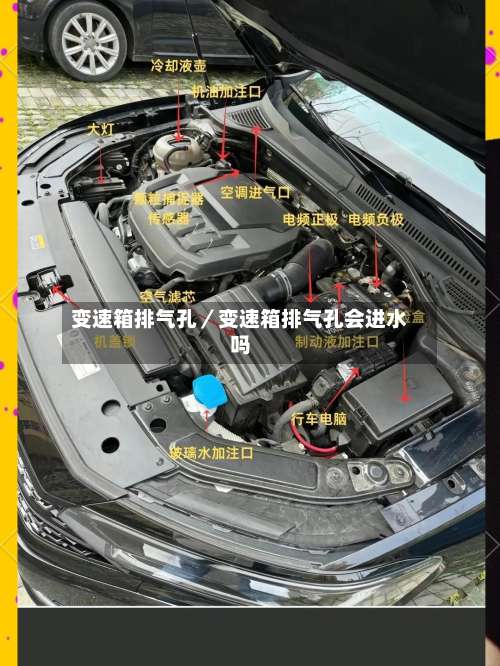 变速箱排气孔／变速箱排气孔会进水吗-第1张图片