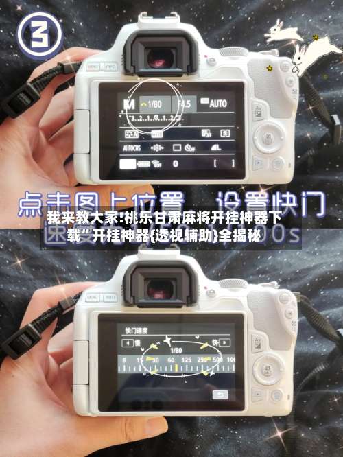 我来教大家!桃乐甘肃麻将开挂神器下载”开挂神器{透视辅助}全揭秘-第1张图片