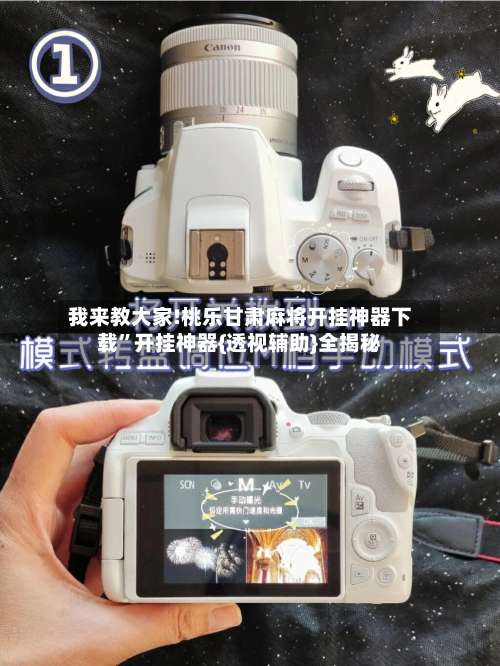 我来教大家!桃乐甘肃麻将开挂神器下载	”开挂神器{透视辅助}全揭秘-第2张图片