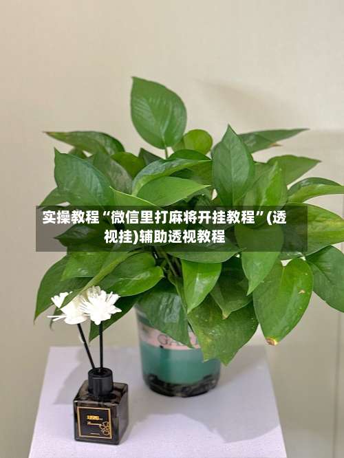 实操教程“微信里打麻将开挂教程	”(透视挂)辅助透视教程-第1张图片