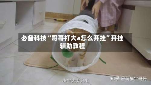 必备科技“哥哥打大a怎么开挂	”开挂辅助教程-第1张图片