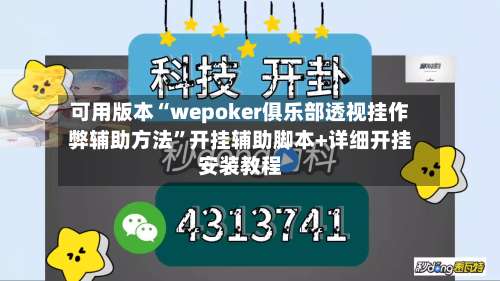 可用版本“wepoker俱乐部透视挂作弊辅助方法	”开挂辅助脚本+详细开挂安装教程-第2张图片