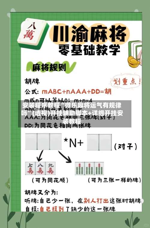 安装程序教程“微乐麻将运气有规律吗	”(透视)开挂辅助脚本+详细开挂安装教程-第3张图片