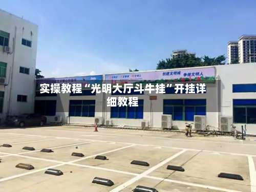 实操教程“光明大厅斗牛挂	”开挂详细教程-第2张图片