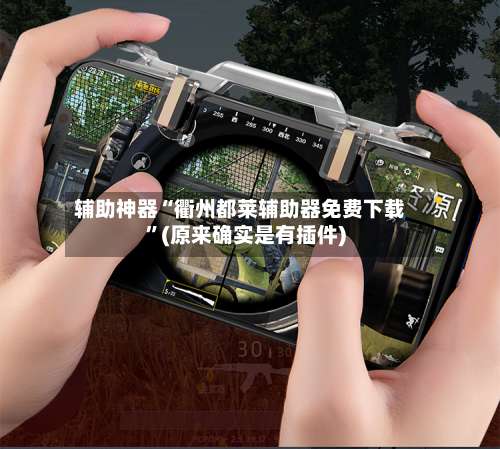 辅助神器“衢州都莱辅助器免费下载	”(原来确实是有插件)-第1张图片