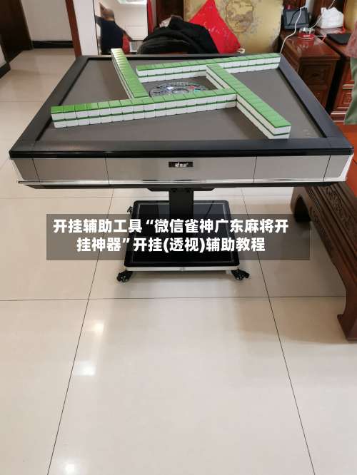 开挂辅助工具“微信雀神广东麻将开挂神器	”开挂(透视)辅助教程-第2张图片