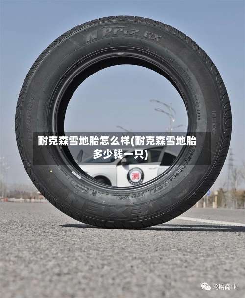 耐克森雪地胎怎么样(耐克森雪地胎多少钱一只)-第2张图片