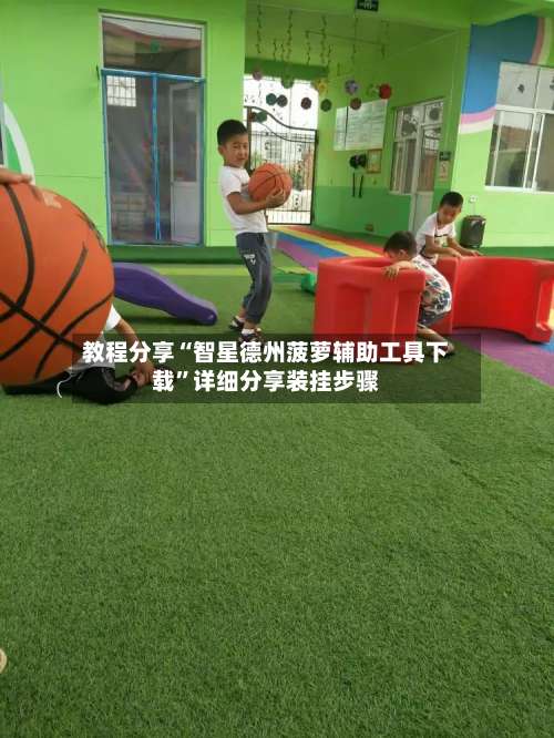 教程分享“智星德州菠萝辅助工具下载”详细分享装挂步骤-第1张图片