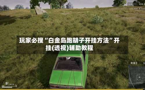 玩家必搜“白金岛跑胡子开挂方法	”开挂(透视)辅助教程-第2张图片