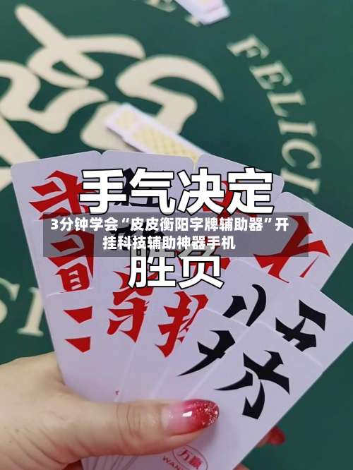 3分钟学会“皮皮衡阳字牌辅助器	”开挂科技辅助神器手机-第2张图片