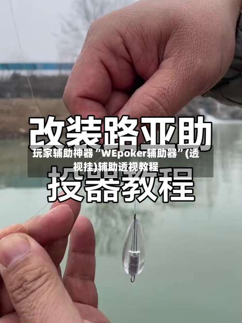 玩家辅助神器“WEpoker辅助器”(透视挂)辅助透视教程-第2张图片