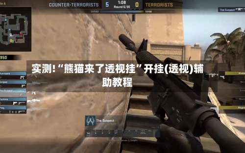 实测!“熊猫来了透视挂”开挂(透视)辅助教程-第1张图片