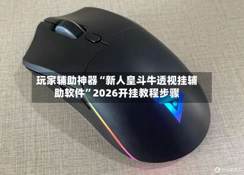 玩家辅助神器“新人皇斗牛透视挂辅助软件”2026开挂教程步骤-第2张图片