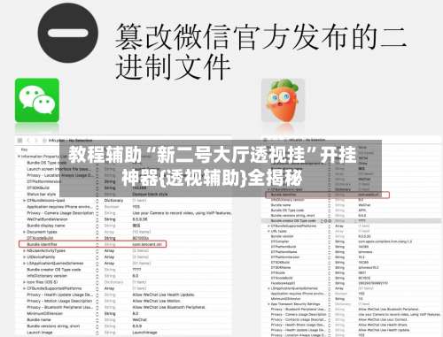 教程辅助“新二号大厅透视挂”开挂神器{透视辅助}全揭秘-第2张图片