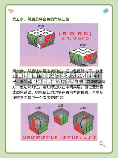 教程辅助“微乐斗地主怎么开透视挂”揭秘透视辅助万能挂用法-第2张图片