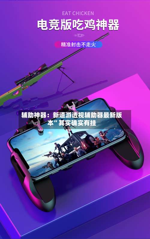 辅助神器：新道游透视辅助器最新版本”其实确实有挂-第1张图片