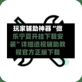 玩家辅助神器“微乐宁夏开挂下载安装”详细透视辅助教程官方正版下载-第3张图片