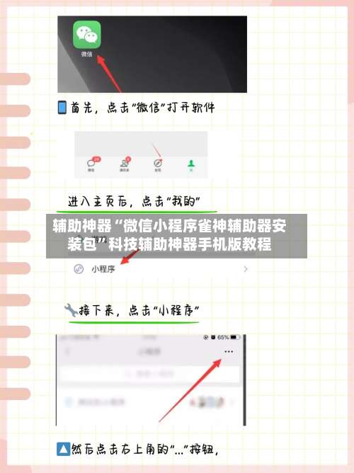 辅助神器“微信小程序雀神辅助器安装包”科技辅助神器手机版教程-第1张图片
