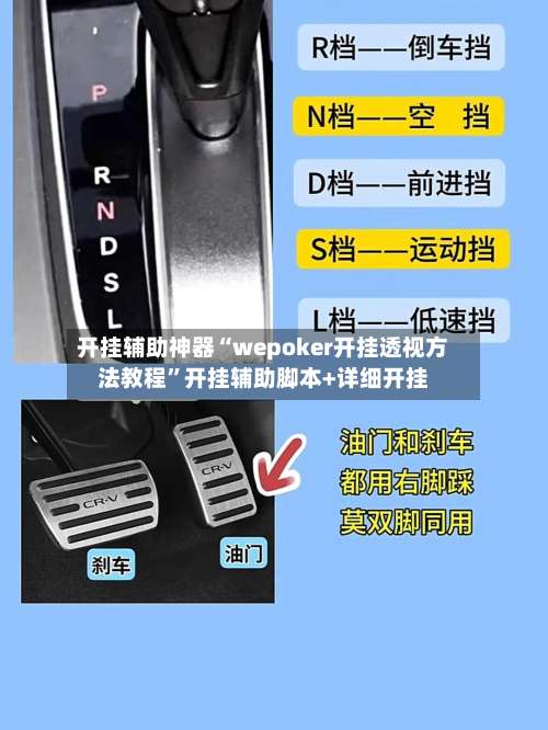 开挂辅助神器“wepoker开挂透视方法教程”开挂辅助脚本+详细开挂-第1张图片