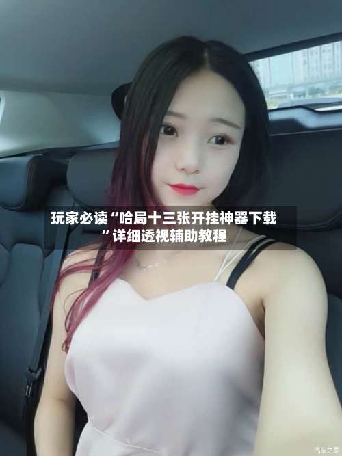 玩家必读“哈局十三张开挂神器下载”详细透视辅助教程-第2张图片