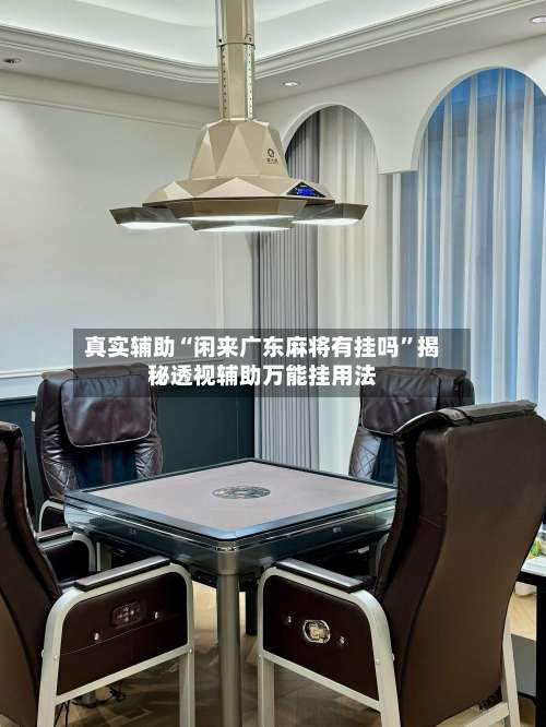 真实辅助“闲来广东麻将有挂吗”揭秘透视辅助万能挂用法-第1张图片