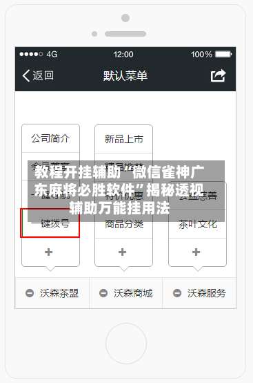 教程开挂辅助“微信雀神广东麻将必胜软件”揭秘透视辅助万能挂用法-第1张图片