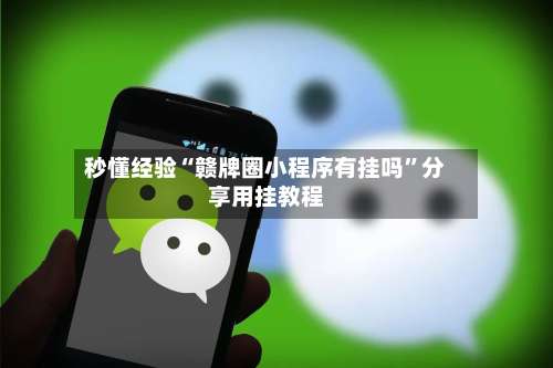 秒懂经验“赣牌圈小程序有挂吗	”分享用挂教程-第1张图片