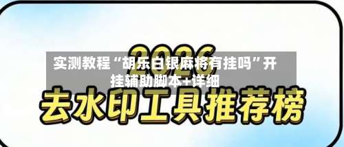 实测教程“胡乐白银麻将有挂吗”开挂辅助脚本+详细-第2张图片