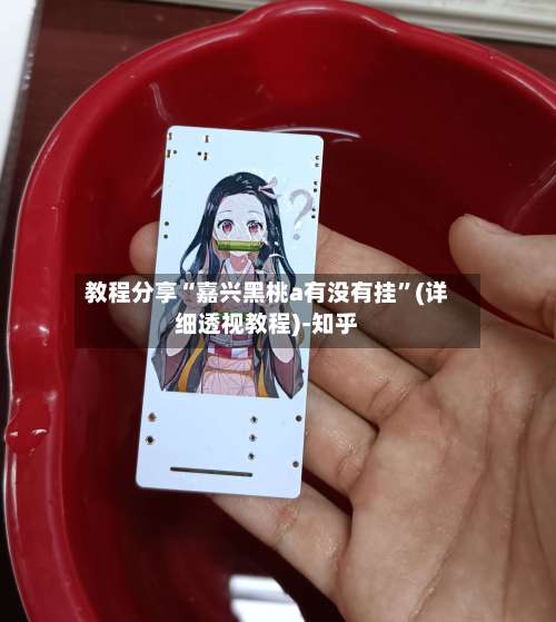 教程分享“嘉兴黑桃a有没有挂	”(详细透视教程)-知乎-第1张图片