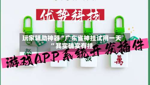玩家辅助神器“广东雀神挂试用一天	”其实确实有挂-第2张图片