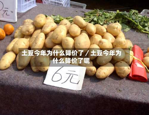 土豆今年为什么降价了/土豆今年为什么降价了呢-第2张图片