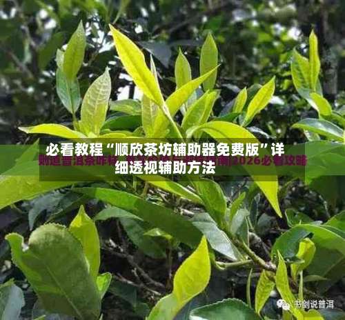 必看教程“顺欣茶坊辅助器免费版	”详细透视辅助方法-第1张图片