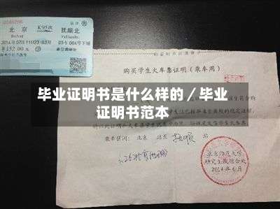 毕业证明书是什么样的／毕业证明书范本-第1张图片