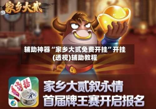 辅助神器“家乡大贰免费开挂”开挂(透视)辅助教程-第1张图片