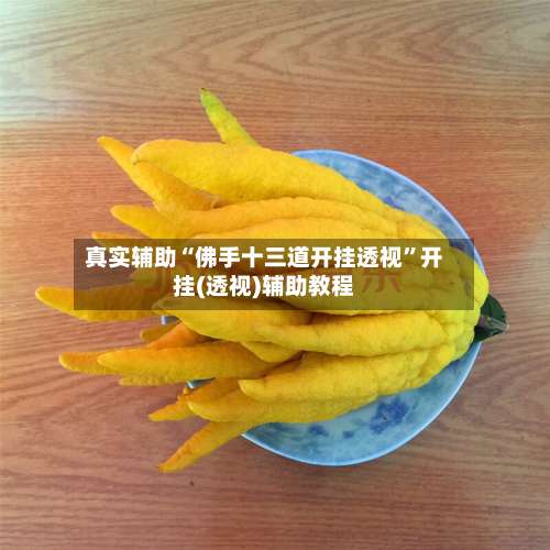 真实辅助“佛手十三道开挂透视	”开挂(透视)辅助教程-第2张图片