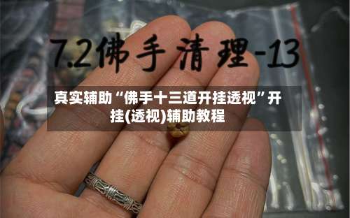 真实辅助“佛手十三道开挂透视”开挂(透视)辅助教程-第3张图片