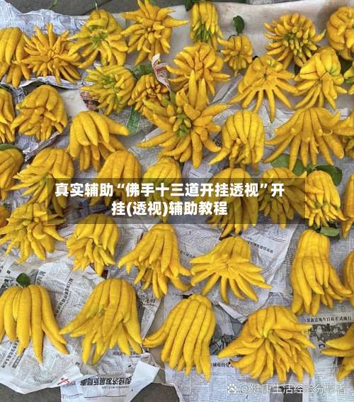 真实辅助“佛手十三道开挂透视”开挂(透视)辅助教程-第1张图片